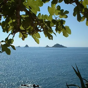 https://le-bouganville.in-sardinia.net